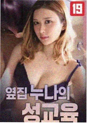 太阳的后裔海报